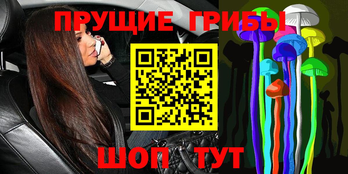 Псилоцибиновые грибы прущие грибы Бугульма